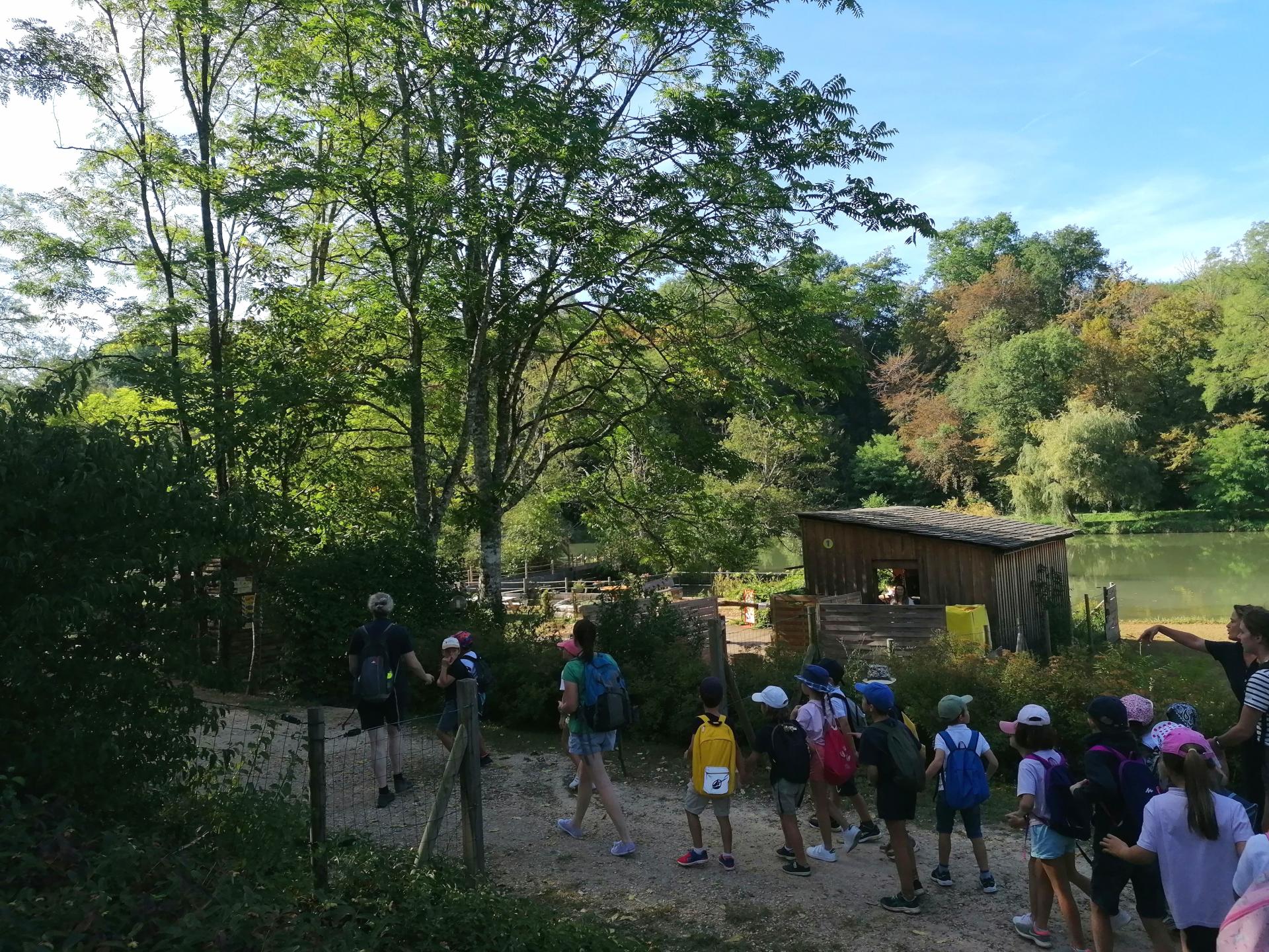 Arrivée au bois des lutins