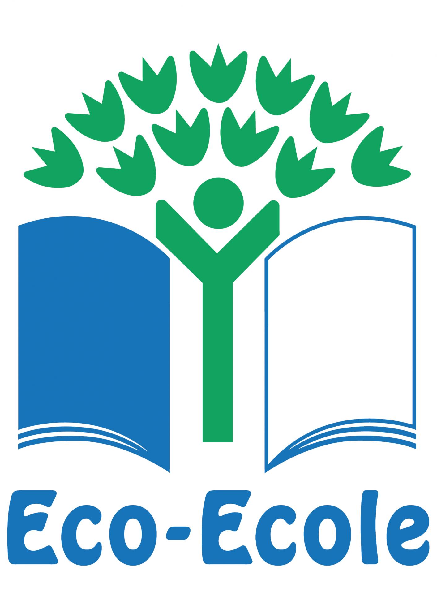 Eco ecole web